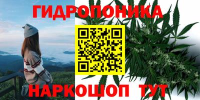дурь Кандалакша